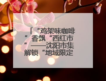 “鸡架味咖啡”香飘“西红市”——沈阳市集解锁“地域限定”消费新场景