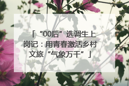 “00后”选调生上岗记：用青春激活乡村文旅“气象万千”