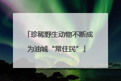 珍稀野生动物不断成为油城“常住民”