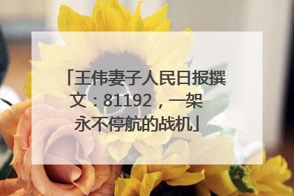 王伟妻子人民日报撰文：81192，一架永不停航的战机
