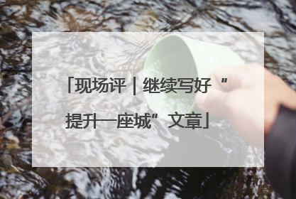 现场评｜继续写好“提升一座城”文章