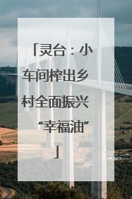 灵台：小车间榨出乡村全面振兴“幸福油”