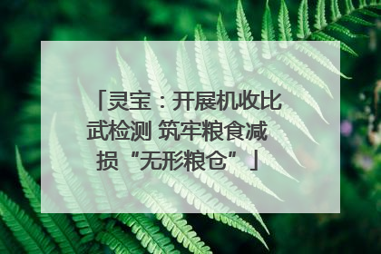 灵宝：开展机收比武检测 筑牢粮食减损“无形粮仓”