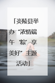 炎陵县举办“浓情端午‘粽’享美好”主题活动