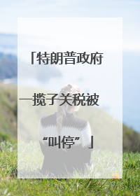 特朗普政府一揽子关税被“叫停”
