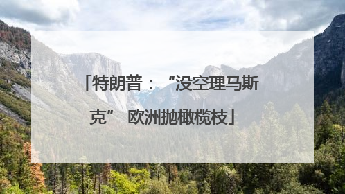 特朗普：“没空理马斯克” 欧洲抛橄榄枝