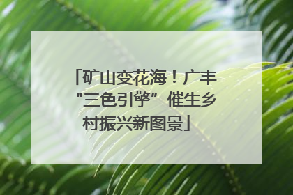 矿山变花海！广丰“三色引擎”催生乡村振兴新图景