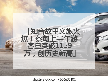 知音故里文旅火爆！蔡甸上半年游客量突破1159万，创历史新高