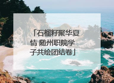 石榴籽聚华夏情 随州职院学子共绘团结卷