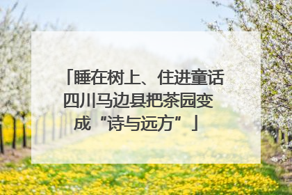 睡在树上、住进童话 四川马边县把茶园变成“诗与远方”