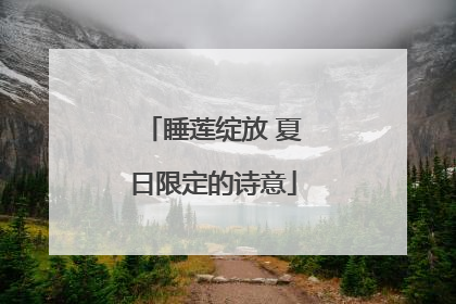 睡莲绽放 夏日限定的诗意