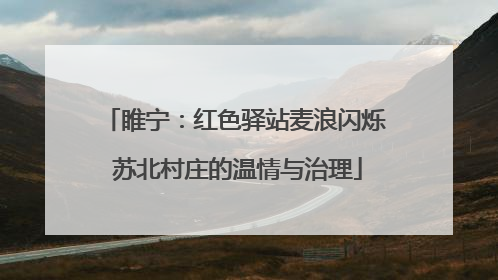 睢宁：红色驿站麦浪闪烁 苏北村庄的温情与治理