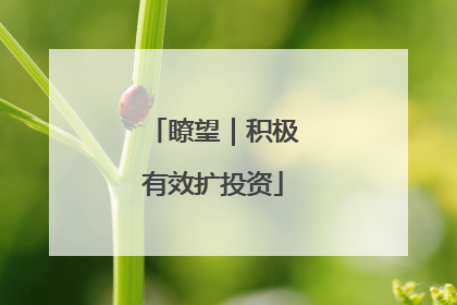 瞭望｜积极有效扩投资