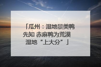 瓜州：湿地景美鸭先知 赤麻鸭为荒漠湿地“上大分”