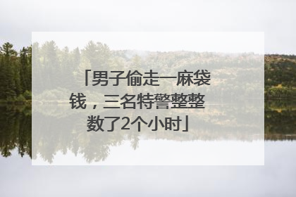 男子偷走一麻袋钱，三名特警整整数了2个小时