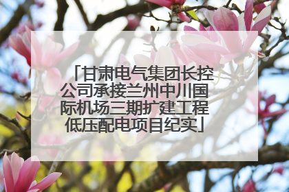 甘肃电气集团长控公司承接兰州中川国际机场三期扩建工程低压配电项目纪实