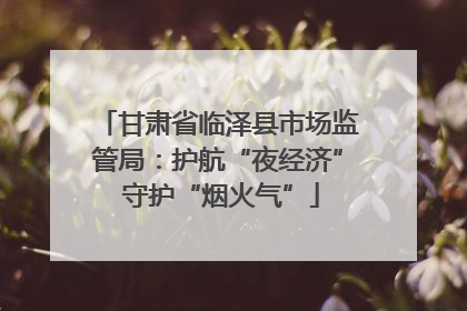 甘肃省临泽县市场监管局：护航“夜经济” 守护“烟火气”