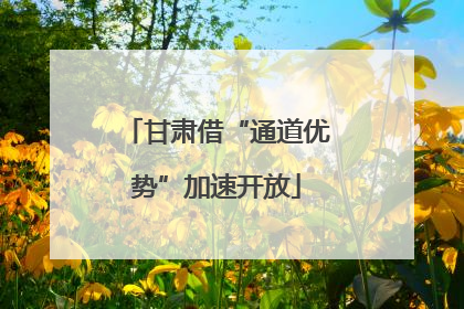 甘肃借“通道优势”加速开放