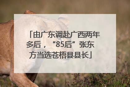 由广东调赴广西两年多后，“85后”张东方当选苍梧县县长