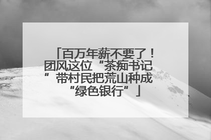 百万年薪不要了！团风这位“茶痴书记”带村民把荒山种成“绿色银行”
