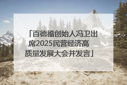 百德福创始人冯卫出席2025民营经济高质量发展大会并发言