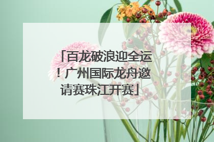 百龙破浪迎全运！广州国际龙舟邀请赛珠江开赛