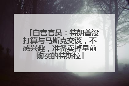 白宫官员：特朗普没打算与马斯克交谈，不感兴趣，准备卖掉早前购买的特斯拉