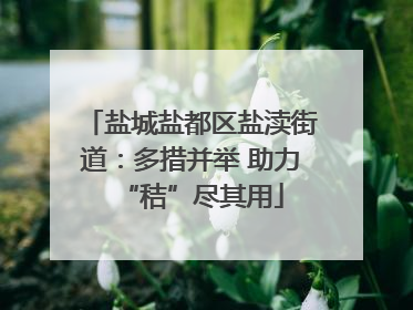 盐城盐都区盐渎街道：多措并举 助力“秸”尽其用