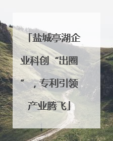 盐城亭湖企业科创“出圈”，专利引领产业腾飞