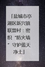 盐城市亭湖区新兴镇联盟村：密织“防火墙”守护蓝天净土
