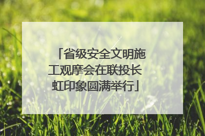 省级安全文明施工观摩会在联投长虹印象圆满举行