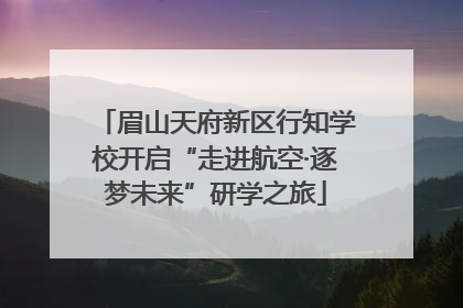 眉山天府新区行知学校开启“走进航空·逐梦未来”研学之旅
