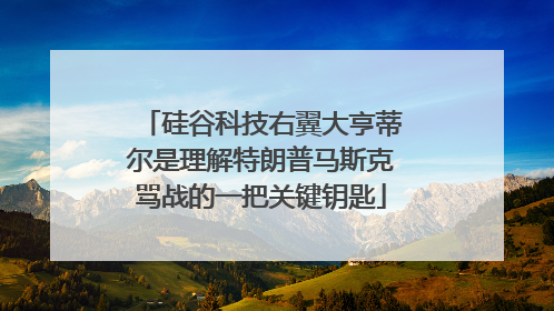 硅谷科技右翼大亨蒂尔是理解特朗普马斯克骂战的一把关键钥匙