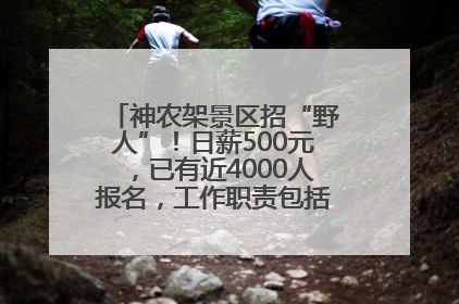 神农架景区招“野人”！日薪500元，已有近4000人报名，工作职责包括“接受游客投喂”
