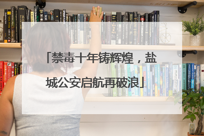 禁毒十年铸辉煌，盐城公安启航再破浪