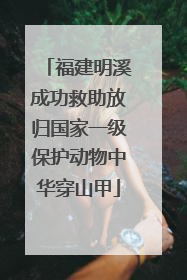 福建明溪成功救助放归国家一级保护动物中华穿山甲