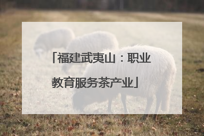 福建武夷山：职业教育服务茶产业