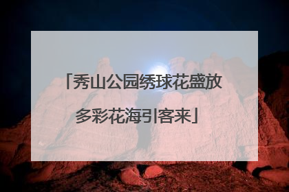 秀山公园绣球花盛放 多彩花海引客来