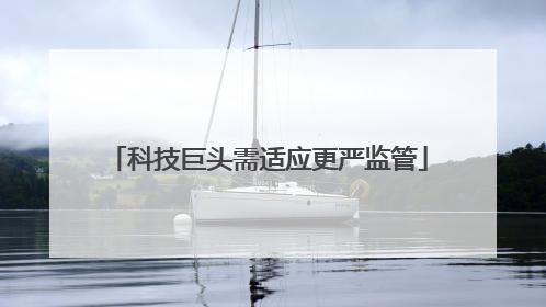 科技巨头需适应更严监管