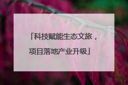 科技赋能生态文旅，项目落地产业升级