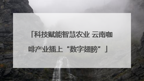 科技赋能智慧农业 云南咖啡产业插上“数字翅膀”