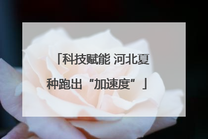科技赋能 河北夏种跑出“加速度”