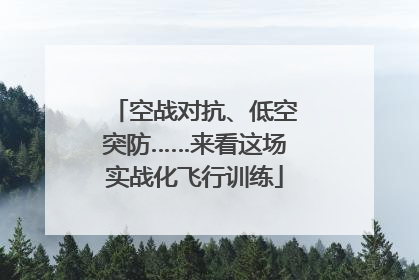 空战对抗、低空突防……来看这场实战化飞行训练