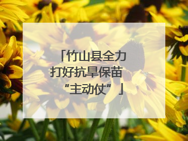 竹山县全力打好抗旱保苗“主动仗”