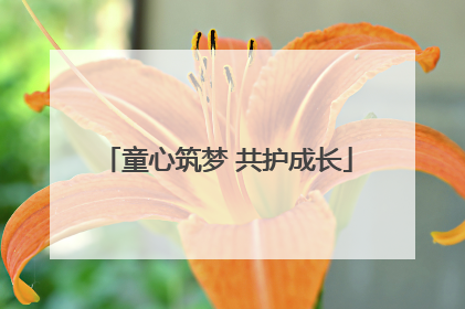 童心筑梦 共护成长