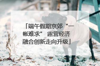 端午假期京郊“一帐难求” 露营经济融合创新走向升级