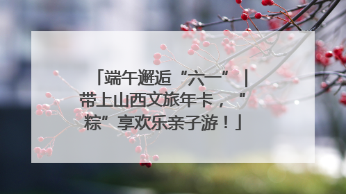 端午邂逅“六一”｜带上山西文旅年卡，“粽”享欢乐亲子游！