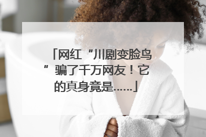 网红“川剧变脸鸟”骗了千万网友！它的真身竟是……