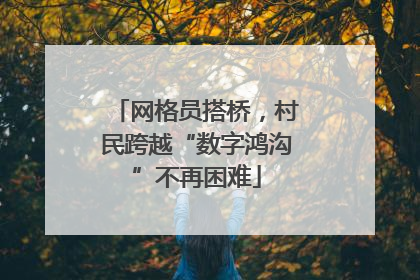 网格员搭桥，村民跨越“数字鸿沟”不再困难