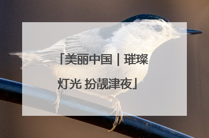 美丽中国｜璀璨灯光 扮靓津夜